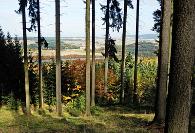 PA200012w