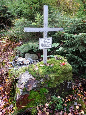 PA200011w